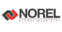 logo_norel
